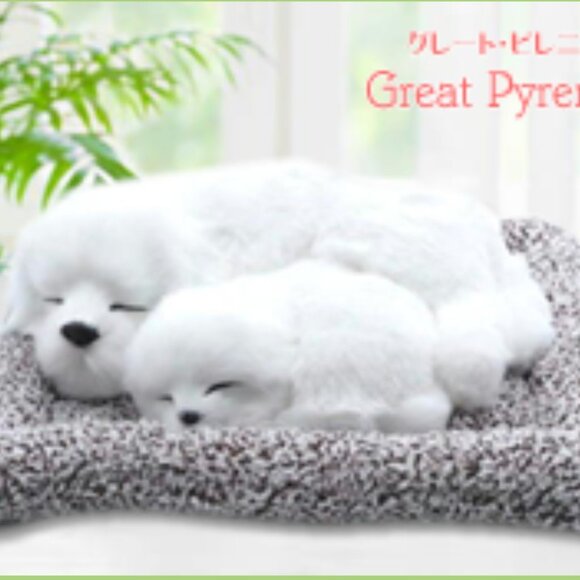 New Realistic Great Pyrenees Sleeping Dogs Plush Decor Japan 25cm Toreba - Picture 1 of 3